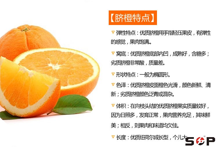 贛南臍橙是這樣誘人的