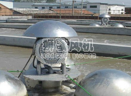 水產(chǎn)養(yǎng)殖用高壓風機